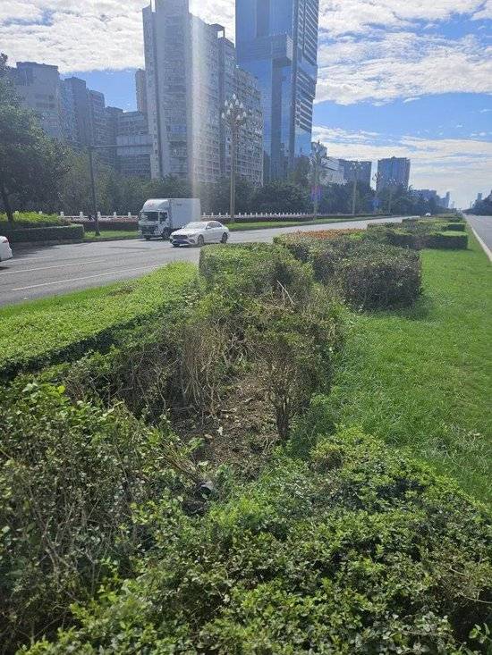 小米汽车失控起火司机遇难<strong></p>
<p>世界电影之旅</strong>,目击者称车速150km/h,实探事故地:燃烧留下的印记仍在