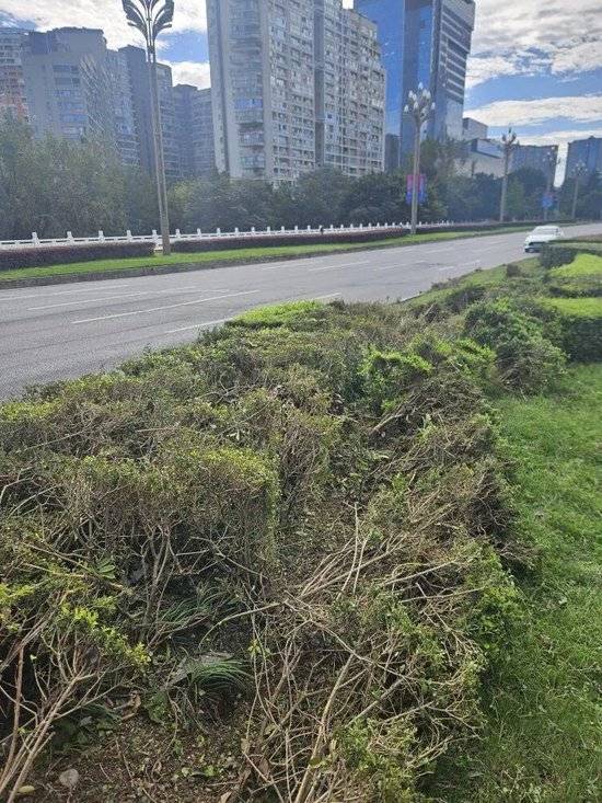 小米汽车失控起火司机遇难<strong></p>
<p>世界电影之旅</strong>,目击者称车速150km/h,实探事故地:燃烧留下的印记仍在