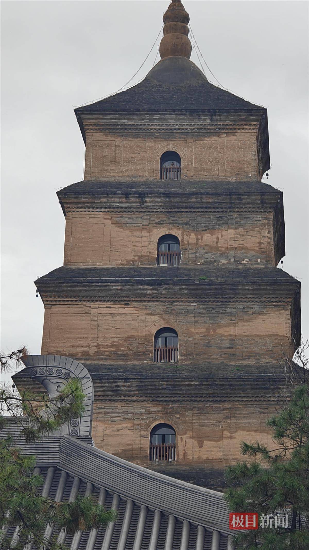 西安连续一个多月降雨遍地长蘑菇<strong></p>
<p>世界电影之旅</strong>,大雁塔受潮,城墙布满青苔,气象局解释成因