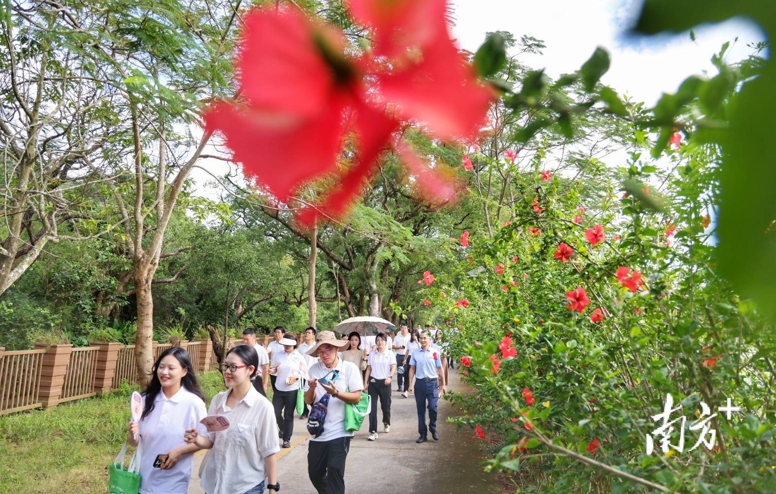 中山城建集团“连心桥”移交<strong></p>
<p>世界电影之旅</strong>,村企共建绘就桂南新画卷