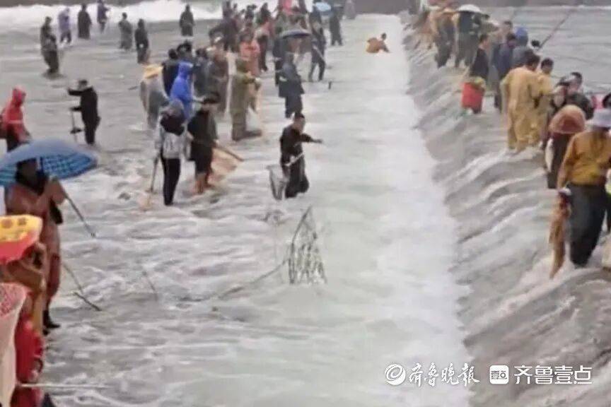 “鱼多得数不过来<strong></p>
<p>资讯快车</strong>,一网子下去能捞好几条”济南锦绣川水库开闸放水,大量鲢鱼被冲出,工作人员:禁止捕捞!