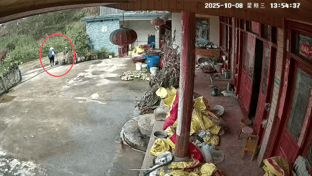 93岁老人进山失联<strong></p>
<p>蔡徐坤</strong>,两天后发现他倒挂在树杈上苦撑……