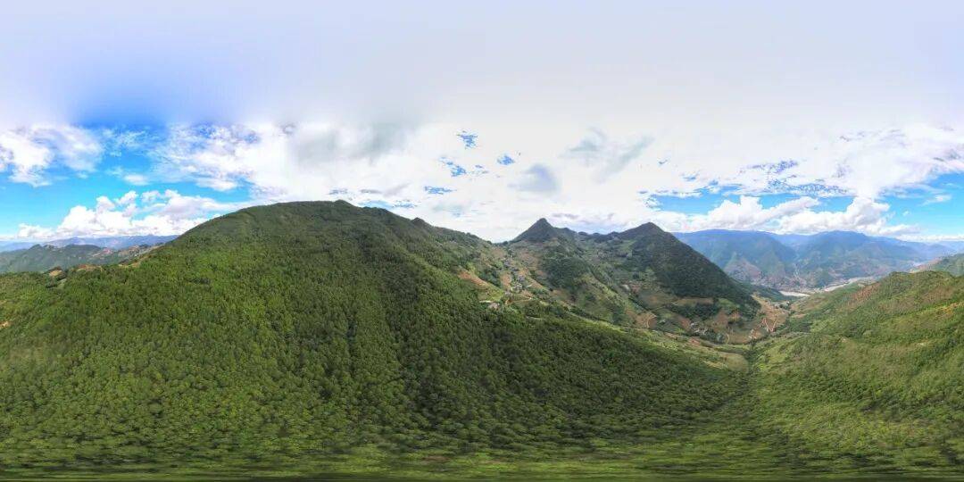 93岁老人进山失联<strong></p>
<p>蔡徐坤</strong>,两天后发现他倒挂在树杈上苦撑……