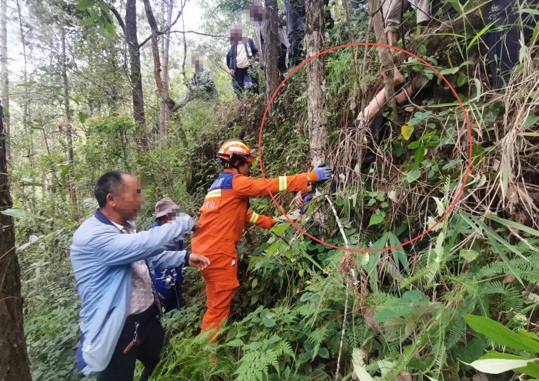 93岁老人进山失联<strong></p>
<p>蔡徐坤</strong>,两天后发现他倒挂在树杈上苦撑……