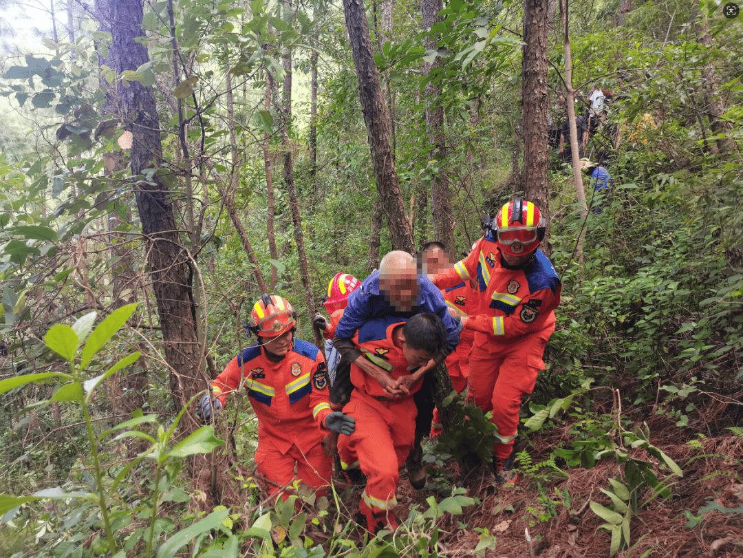 93岁老人进山失联<strong></p>
<p>蔡徐坤</strong>,两天后发现他倒挂在树杈上苦撑……