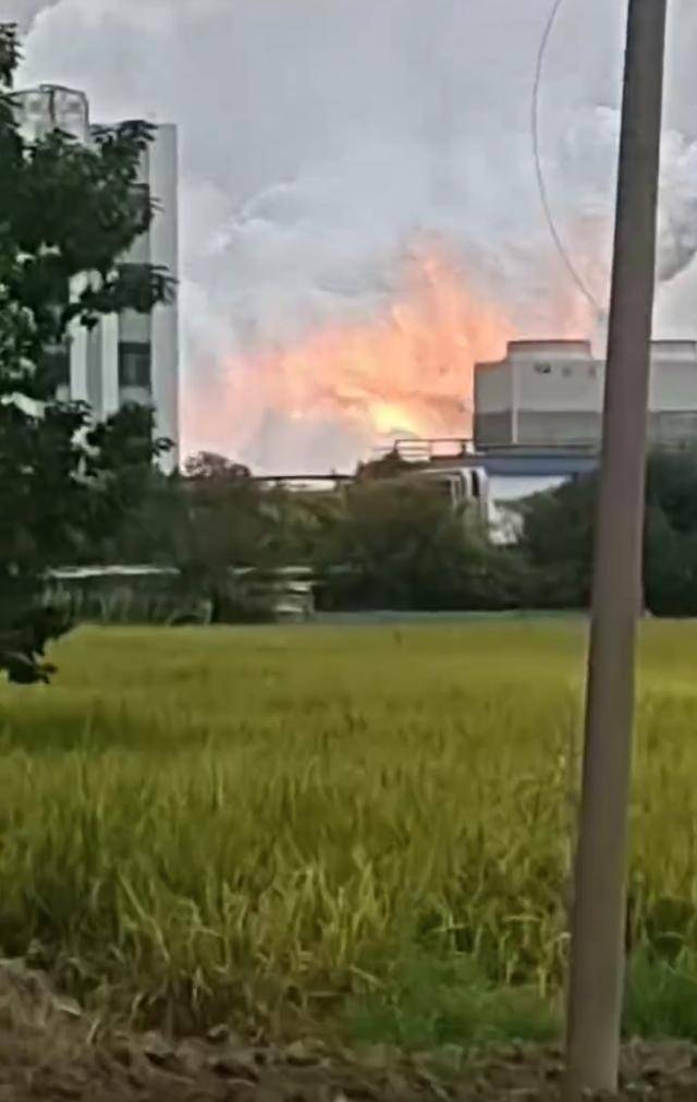 澄星股份工厂发生火灾?附近酒店:已灭火<strong></p>
<p>张店卓创资讯怎么样</strong>,有刺激性气味,建议不开窗