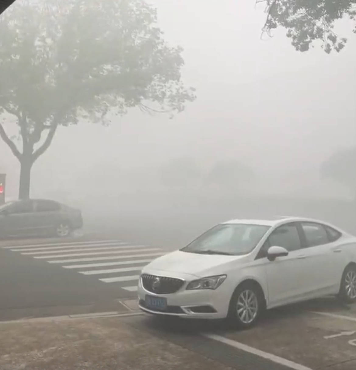 江苏一化工厂发生火灾<strong></p>
<p>张店卓创资讯怎么样</strong>,现场燃起冲天浓烟街道被烟雾笼罩,当地:将通报,未致人员伤亡