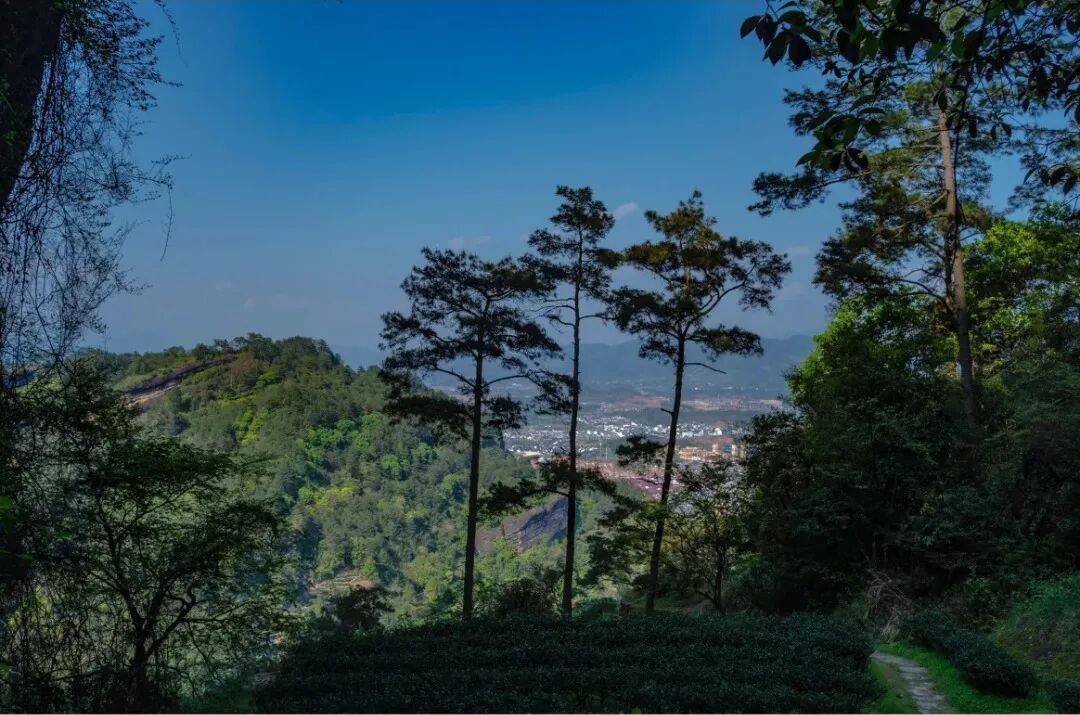 为什么年轻人迷上了爬山? | 秋高气爽<strong></p>
<p>西安博通资讯股份</strong>,是时候出发了→