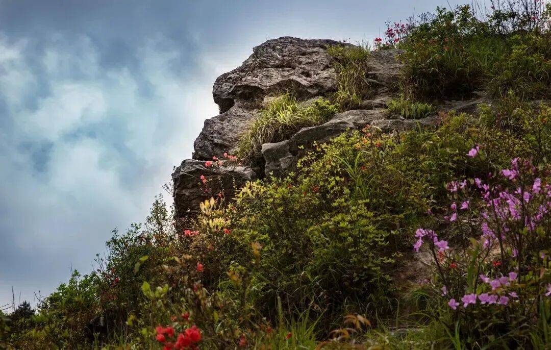 为什么年轻人迷上了爬山? | 秋高气爽<strong></p>
<p>西安博通资讯股份</strong>,是时候出发了→