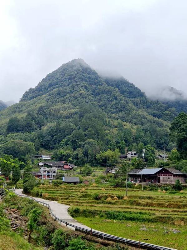 推窗见梯田<strong></p>
<p>西安博通资讯股份</strong>!梧桐山民宿:把日子过成诗