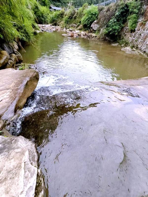 推窗见梯田<strong></p>
<p>西安博通资讯股份</strong>!梧桐山民宿:把日子过成诗