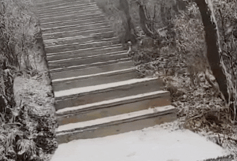 石家庄下雪了<strong></p>
<p>中宇化工资讯网</strong>!河北雨雪上线!新一股冷空气在路上……