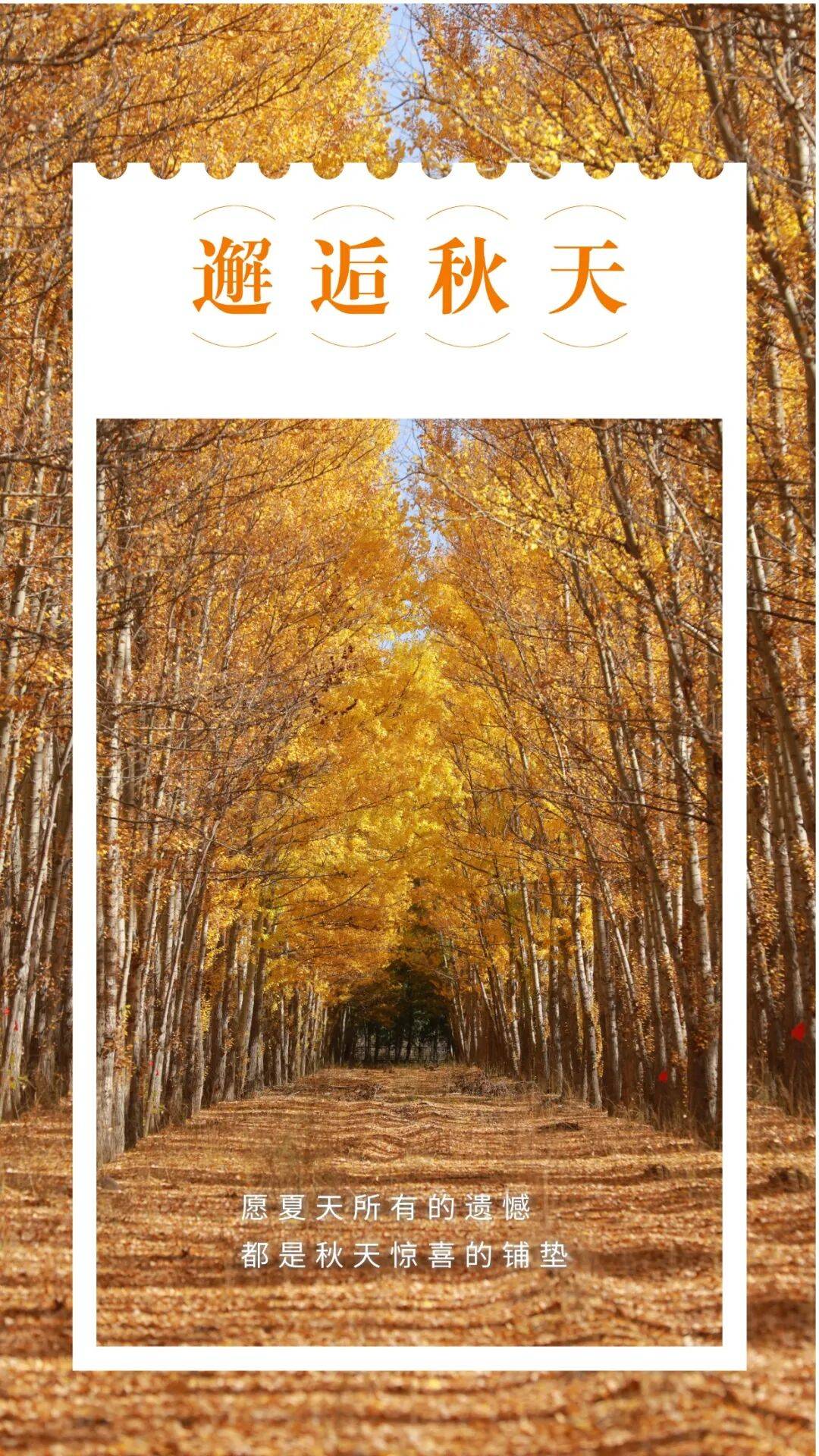 邂逅博州的秋天<strong></p>
<p>中宇化工资讯网</strong>，从从容容游刃有余