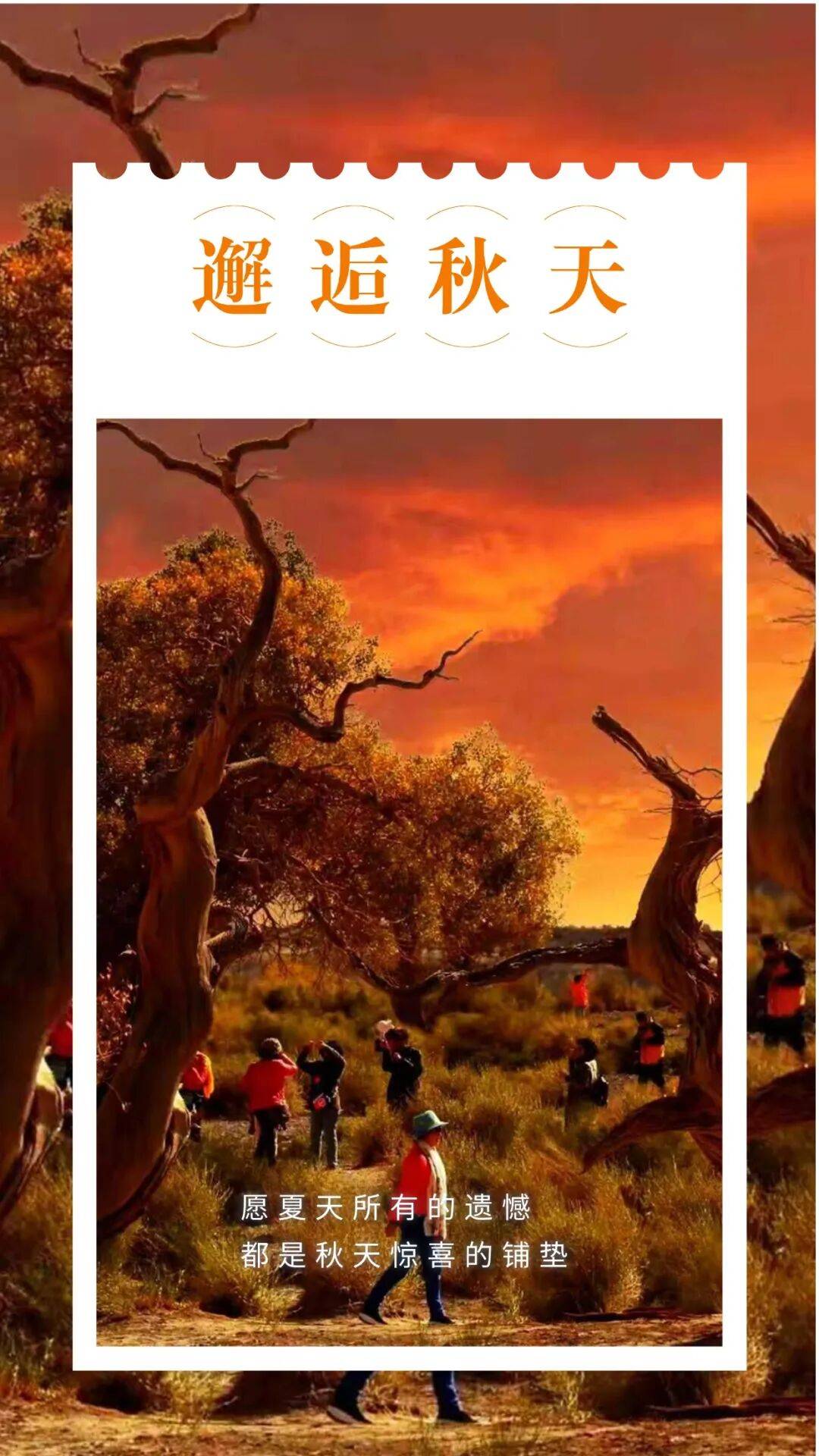 邂逅博州的秋天<strong></p>
<p>中宇化工资讯网</strong>，从从容容游刃有余