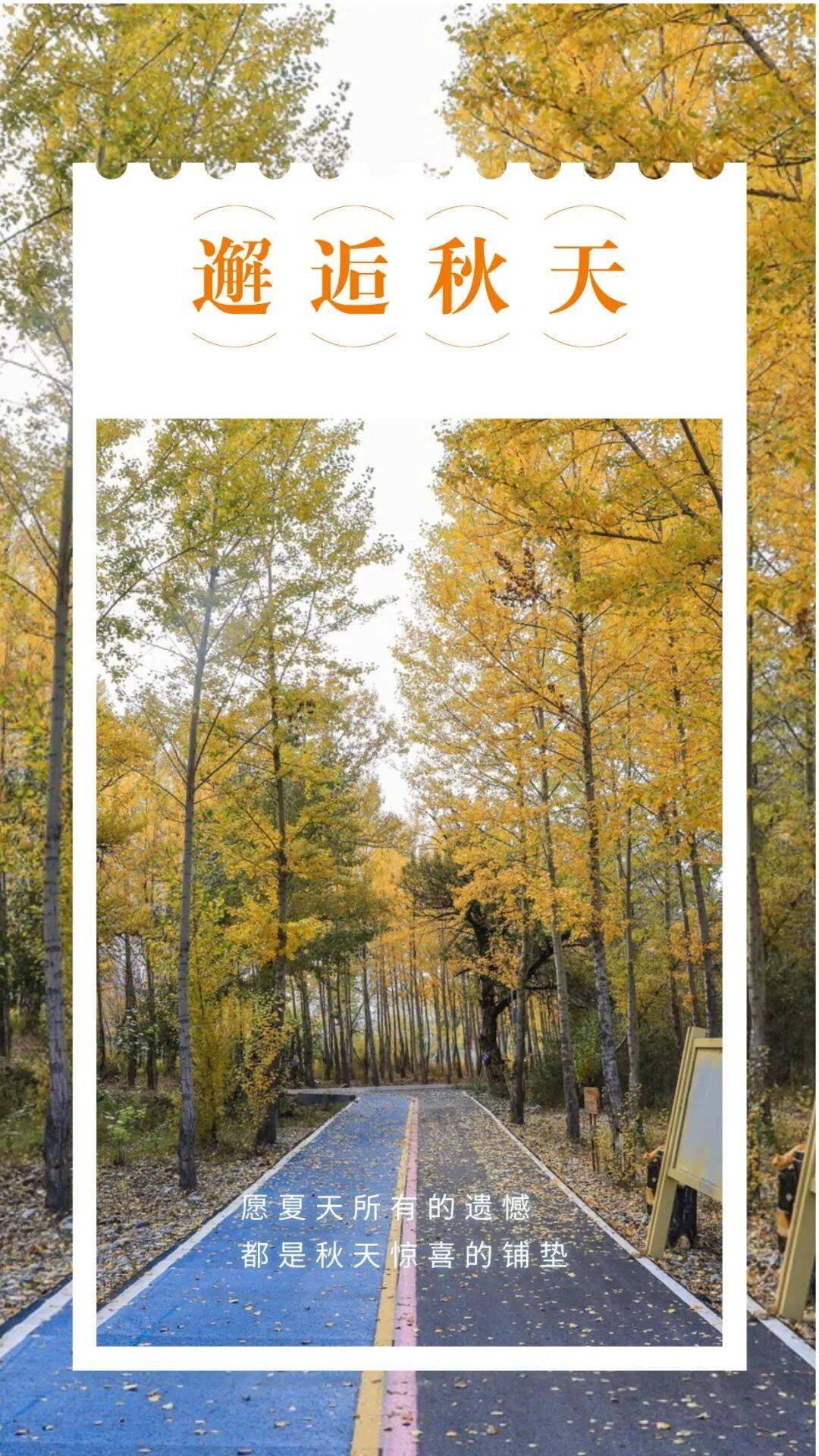 邂逅博州的秋天<strong></p>
<p>中宇化工资讯网</strong>，从从容容游刃有余