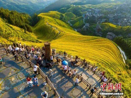 金秋<strong></p>
<p>中宇化工资讯网</strong>,广西的梯田一点不输!