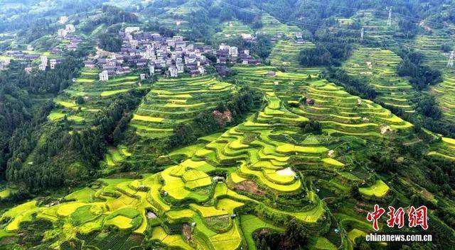 金秋<strong></p>
<p>中宇化工资讯网</strong>,广西的梯田一点不输!