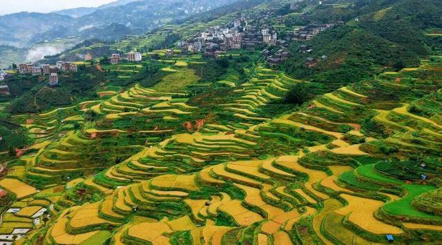 金秋<strong></p>
<p>中宇化工资讯网</strong>,广西的梯田一点不输!
