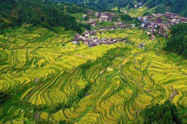 金秋<strong></p>
<p>中宇化工资讯网</strong>,广西的梯田一点不输!