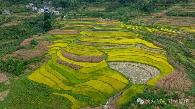 金秋<strong></p>
<p>中宇化工资讯网</strong>,广西的梯田一点不输!