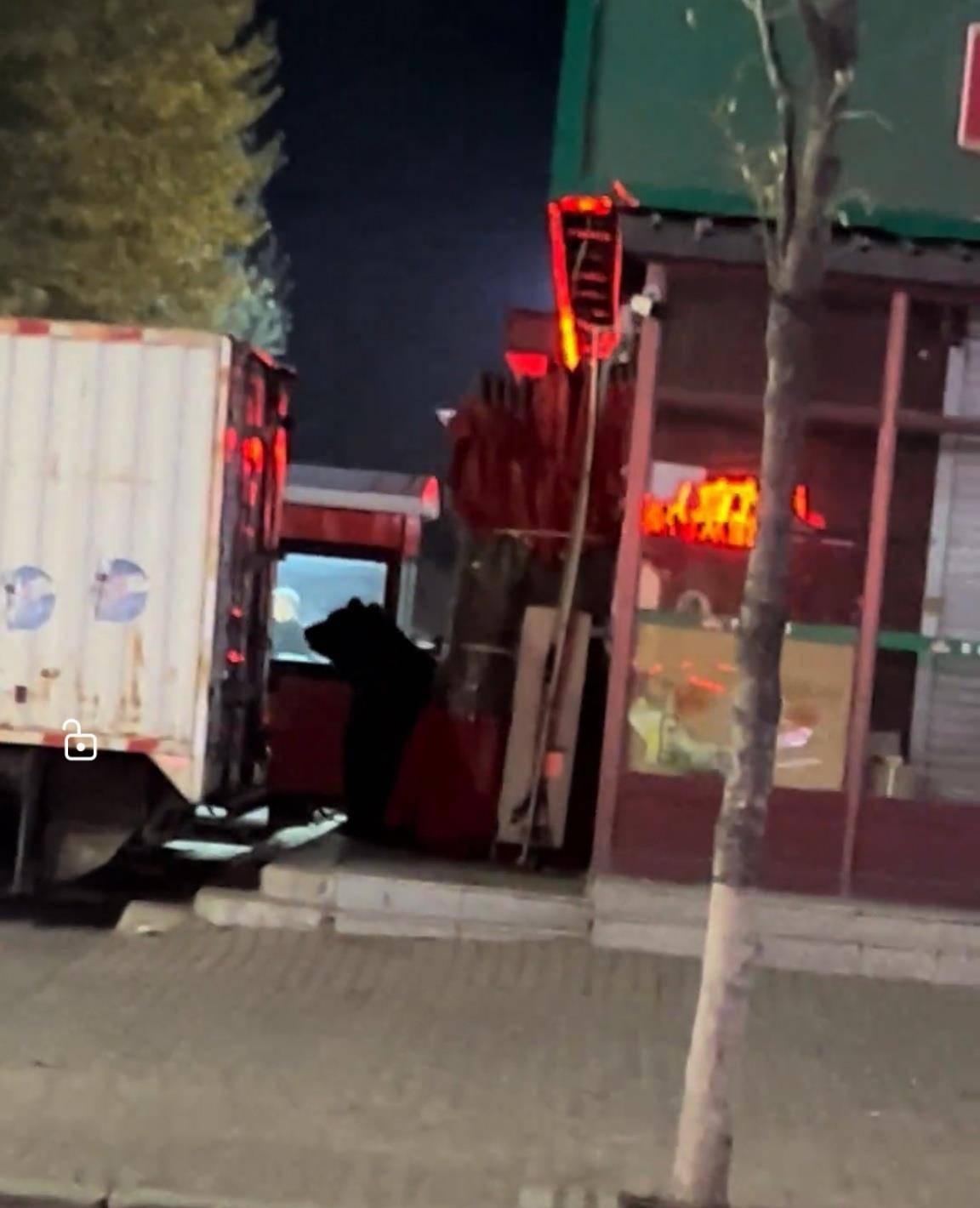 大黑熊夜里独闯黑龙江一县城闹市区<strong></p>
<p>听资讯</strong>，警方连开10多枪击毙，回应为何没用麻醉枪