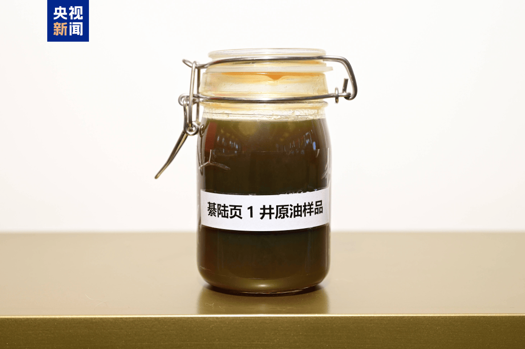 我国发现亿吨级页岩油资源！