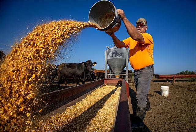 又输给了李成钢<strong></p>
<p>慈济全球资讯</strong>,贝森特承诺:美方不再考虑对华加征100%关税