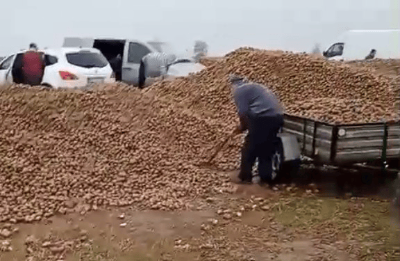 波兰68岁农民收获的150吨土豆被一夜搬空<strong></p>
<p>慈济全球资讯</strong>, 只因帖子遭篡改