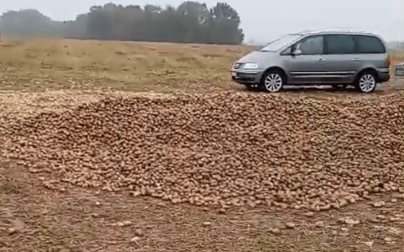 波兰68岁农民收获的150吨土豆被一夜搬空<strong></p>
<p>慈济全球资讯</strong>, 只因帖子遭篡改