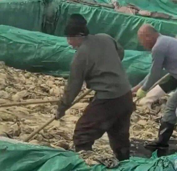 男子在酸菜池内抽烟吐痰<strong></p>
<p>电商资讯平台</strong>,官方通报!