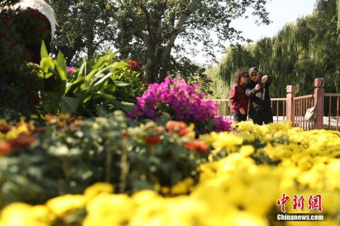 重阳节<strong></p>
<p>凯尔特人资讯</strong>,为何又叫“重九节”?