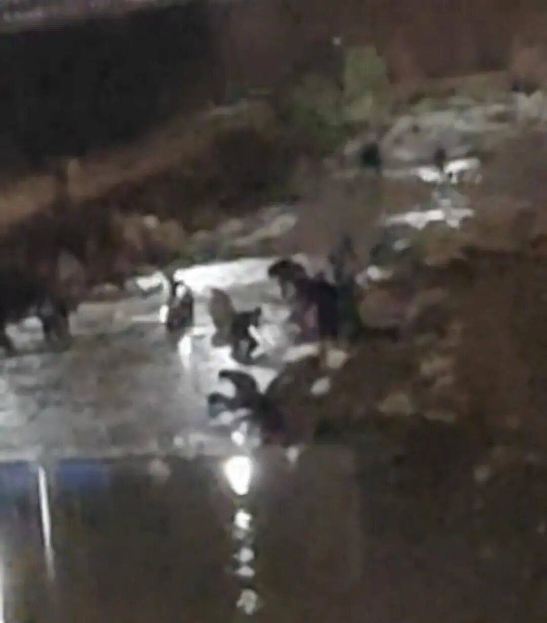 “一盆出5克多”<strong></p>
<p>dota2更新资讯</strong>,多人凌晨下河淘金!当地警方回应