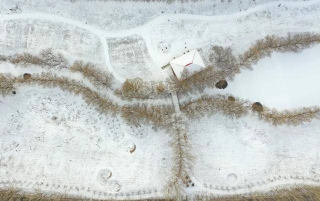 百年难遇“早立冬”来了<strong></p>
<p>下载一点资讯到桌面</strong>!有啥讲究?早看早准备!