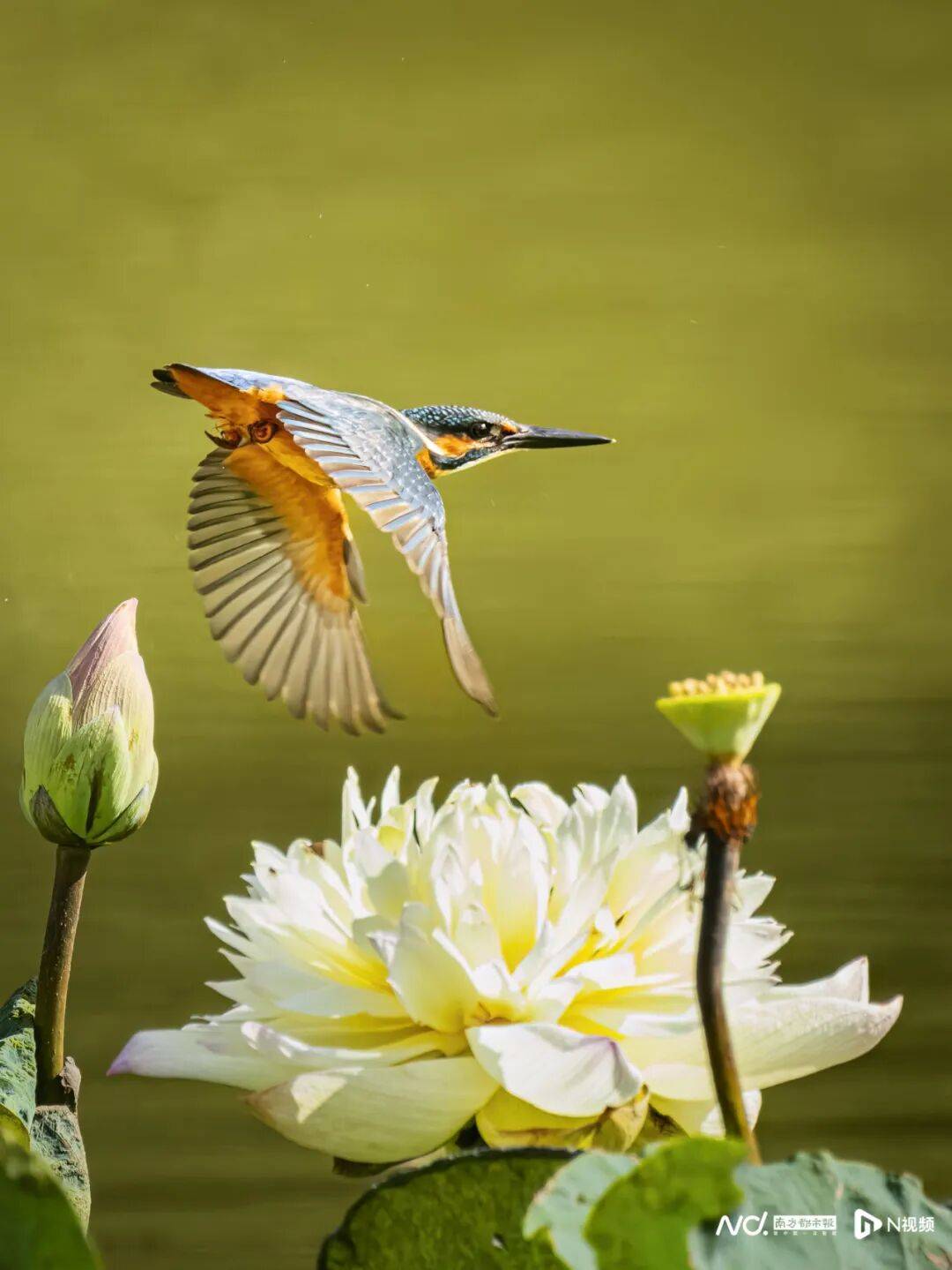 东莞最新发布:将严厉打击这些行为<strong></p>
<p>下载一点资讯到桌面</strong>!