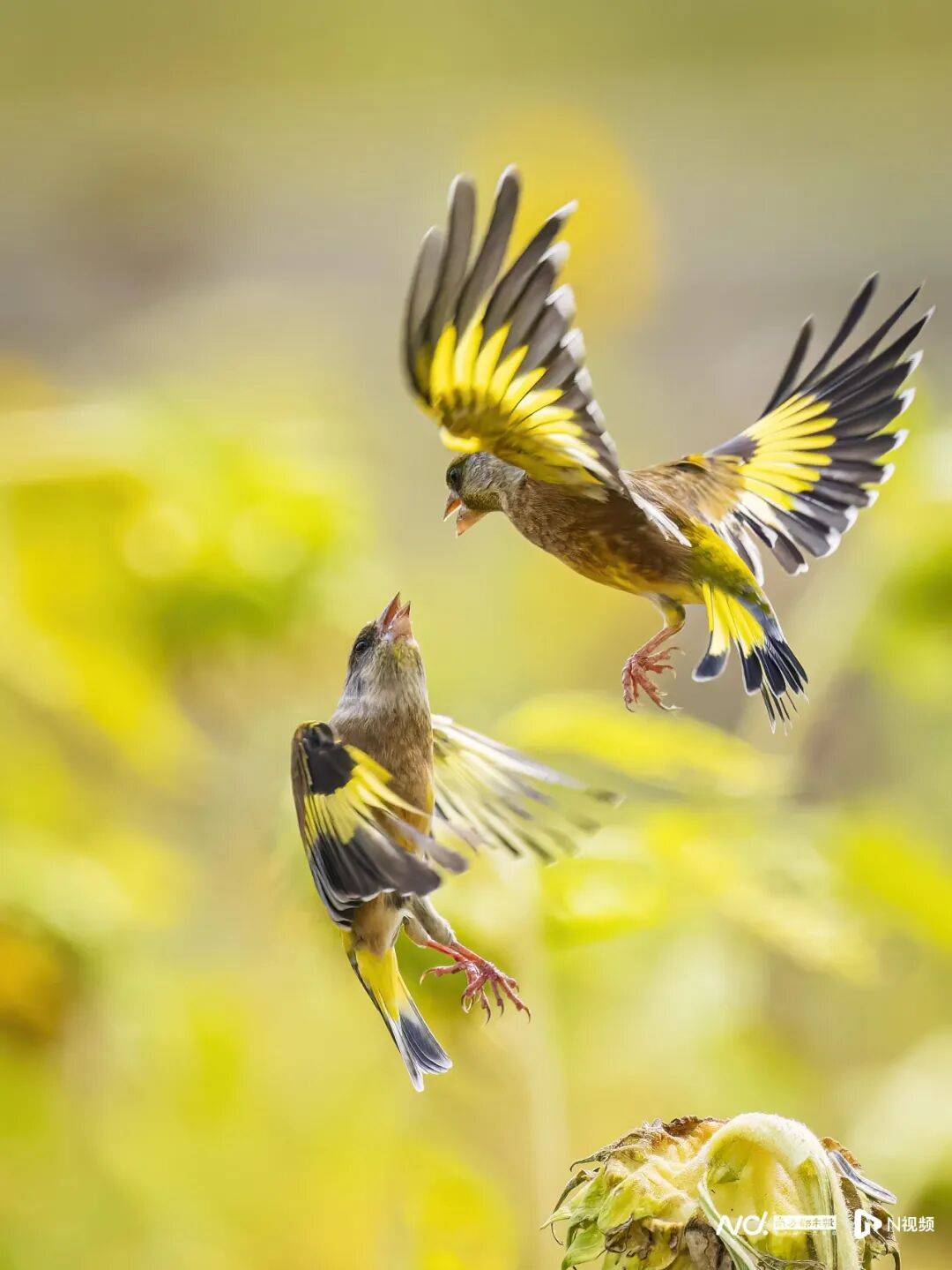 东莞最新发布:将严厉打击这些行为<strong></p>
<p>下载一点资讯到桌面</strong>!