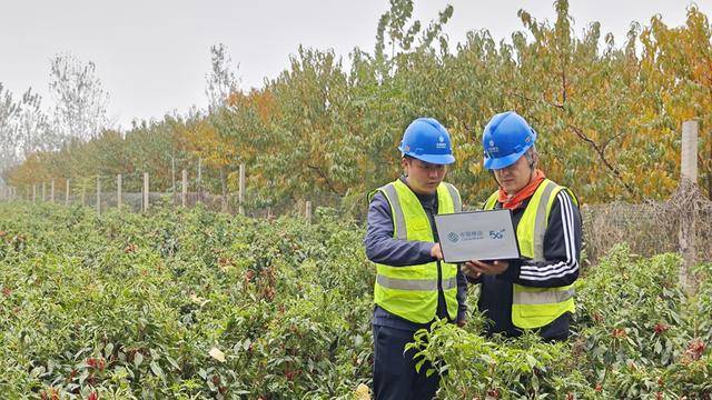 安阳移动内黄分公司:满格信号为丰收之旅添彩