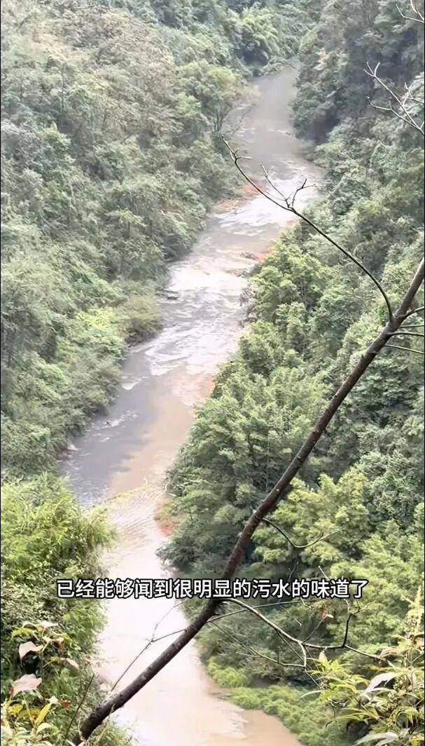 重庆通报:坚决查处<strong></p>
<p>灵通资讯电子版手机版</strong>,绝不姑息