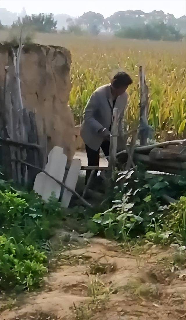 陕西一女子疑因拍亲姑姑偷玉米遭姑父棍杀<strong></p>
<p>苏州盈天地资讯科技有限公司</strong>，邻居欲报警也遇害