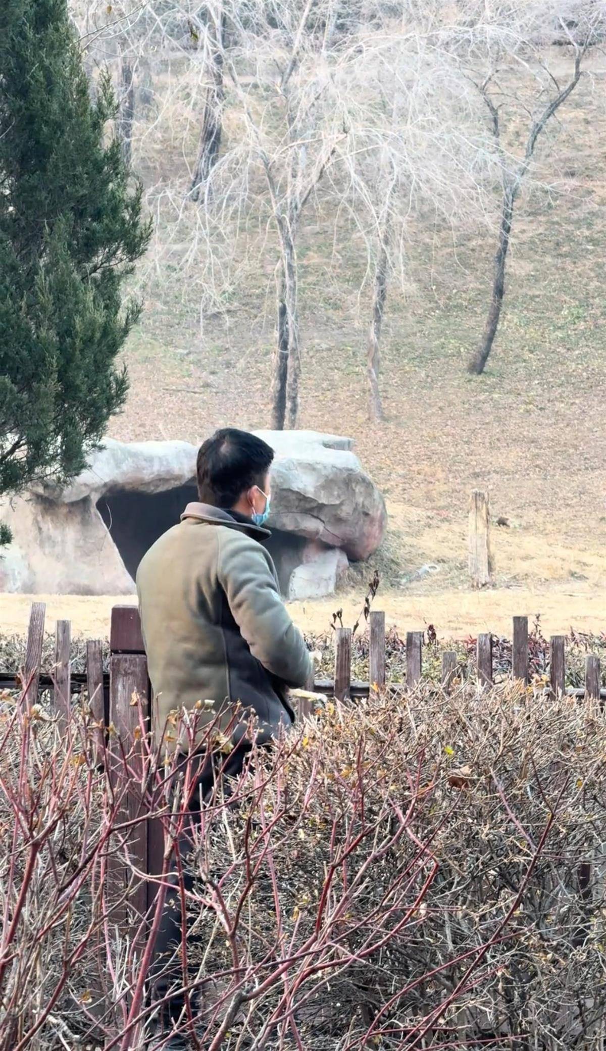 沈阳一男子动物园内用弹弓射老虎<strong></p>
<p>深圳市阿卡索资讯股份有限公司</strong>,目击者称其“填装了弹丸”,打完后老虎爬起来了,园方:正在核实情况