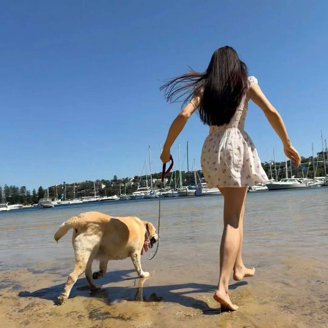 第一批丁克老后<strong></p>
<p>深圳市阿卡索资讯股份有限公司</strong>,“伴侣能陪一程,但最后都要靠自己”