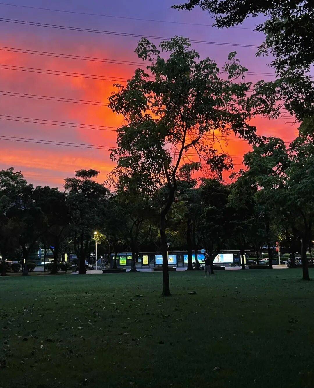 第一批丁克老后<strong></p>
<p>深圳市阿卡索资讯股份有限公司</strong>,“伴侣能陪一程,但最后都要靠自己”