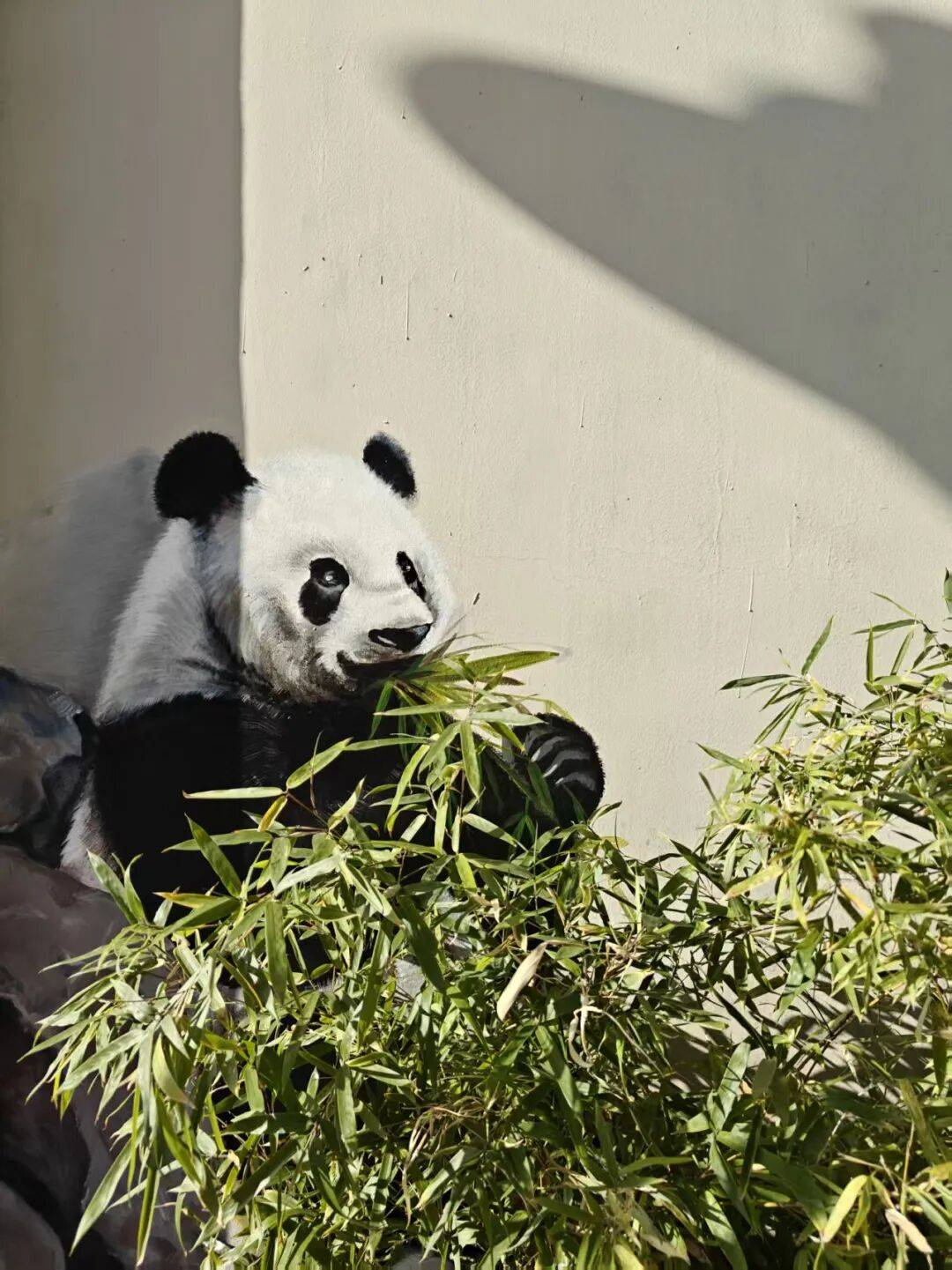 “颜值”出圈 天津和平区独山路这面彩绘墙“亮”<strong></p>
<p>的资讯</strong>了