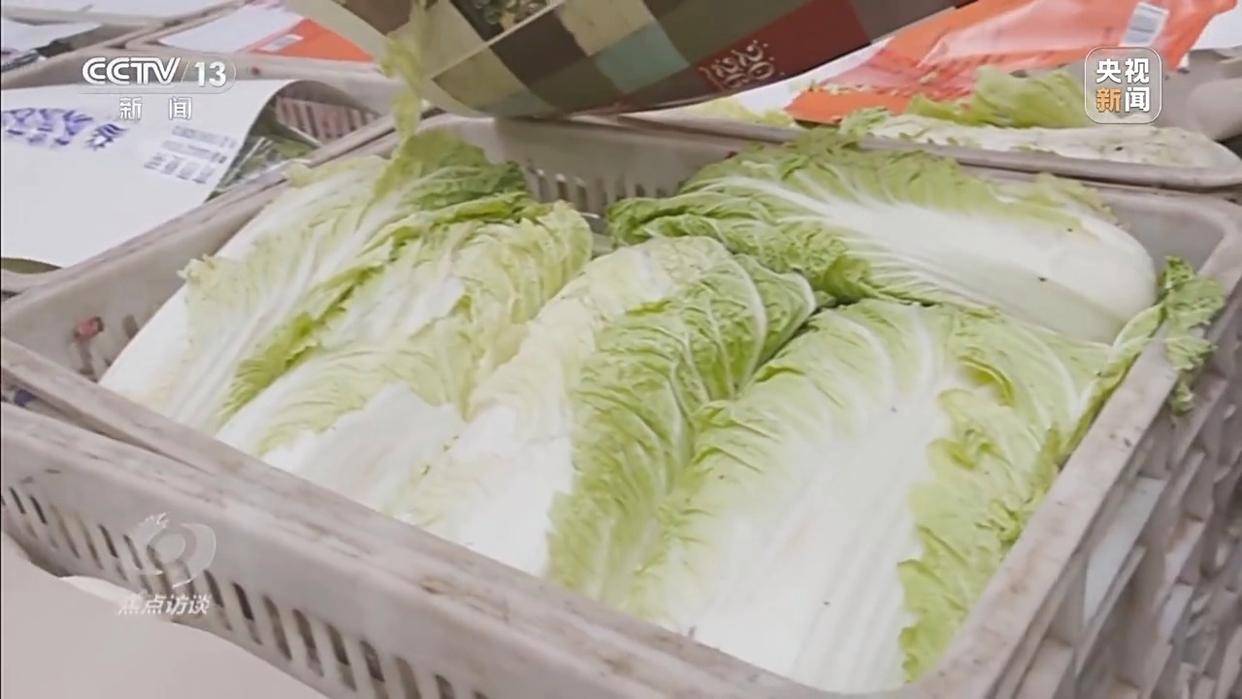 单棵售价超百元<strong></p>
<p>资讯点</strong>，起底“套牌白菜”背后的销售套路