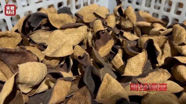 30天速成陈皮<strong></p>
<p>app资讯</strong>,成本仅70元,利润超成本10倍以上!央视起底陈皮跨省造假产业链