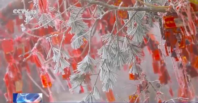 我国已经进入拉尼娜状态<strong></p>
<p>app资讯</strong>,专家:可能出现冬春连旱