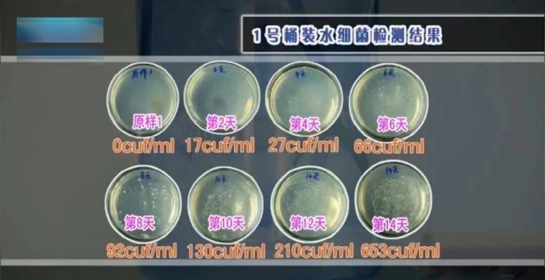 6种东西<strong></p>
<p>app资讯</strong>,没过保质期就“坏了”?赶紧看看,别拿全家健康开玩笑