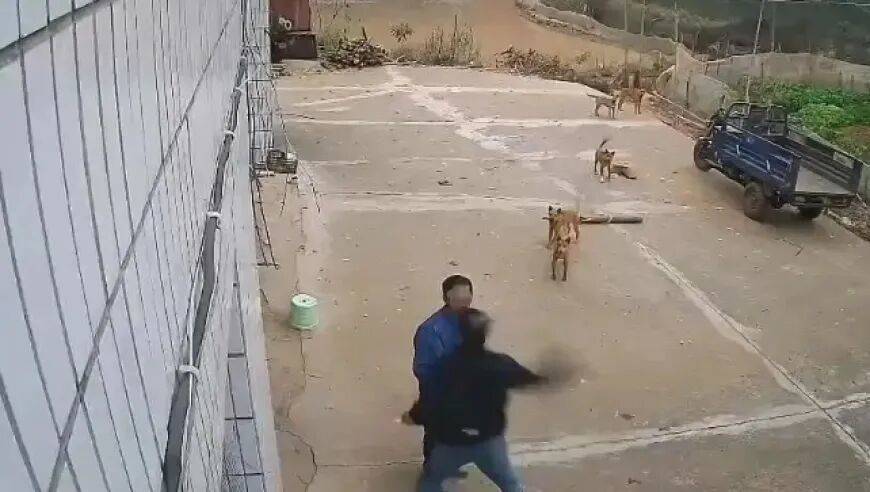 男子家门口吃橘子被邻居一拳打昏<strong></p>
<p>资讯app</strong>，警方通报：因养狗问题起冲突，均有受伤