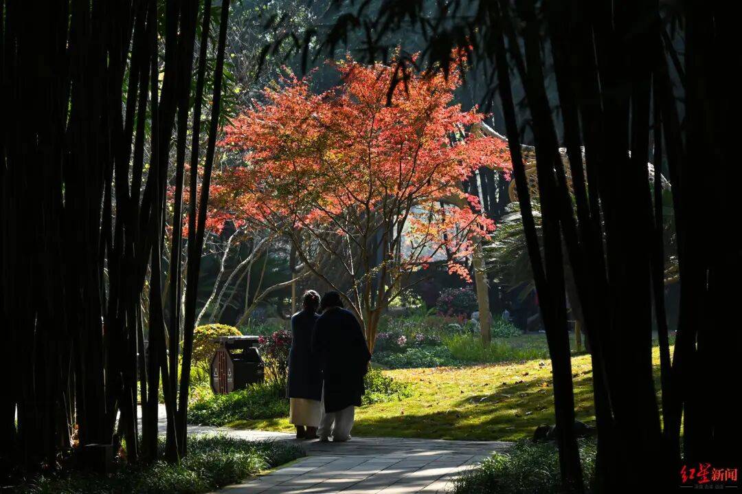 我国已进入拉尼娜状态<strong></p>
<p>资讯公司</strong>!四川今冬或“前暖后冷”