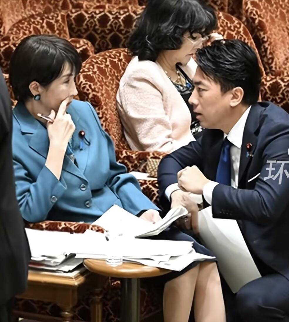 小泉进次郎跪地与高市早苗交谈<strong></p>
<p>资讯公司</strong>,企图为高市发声,遭在野党强烈嘘声