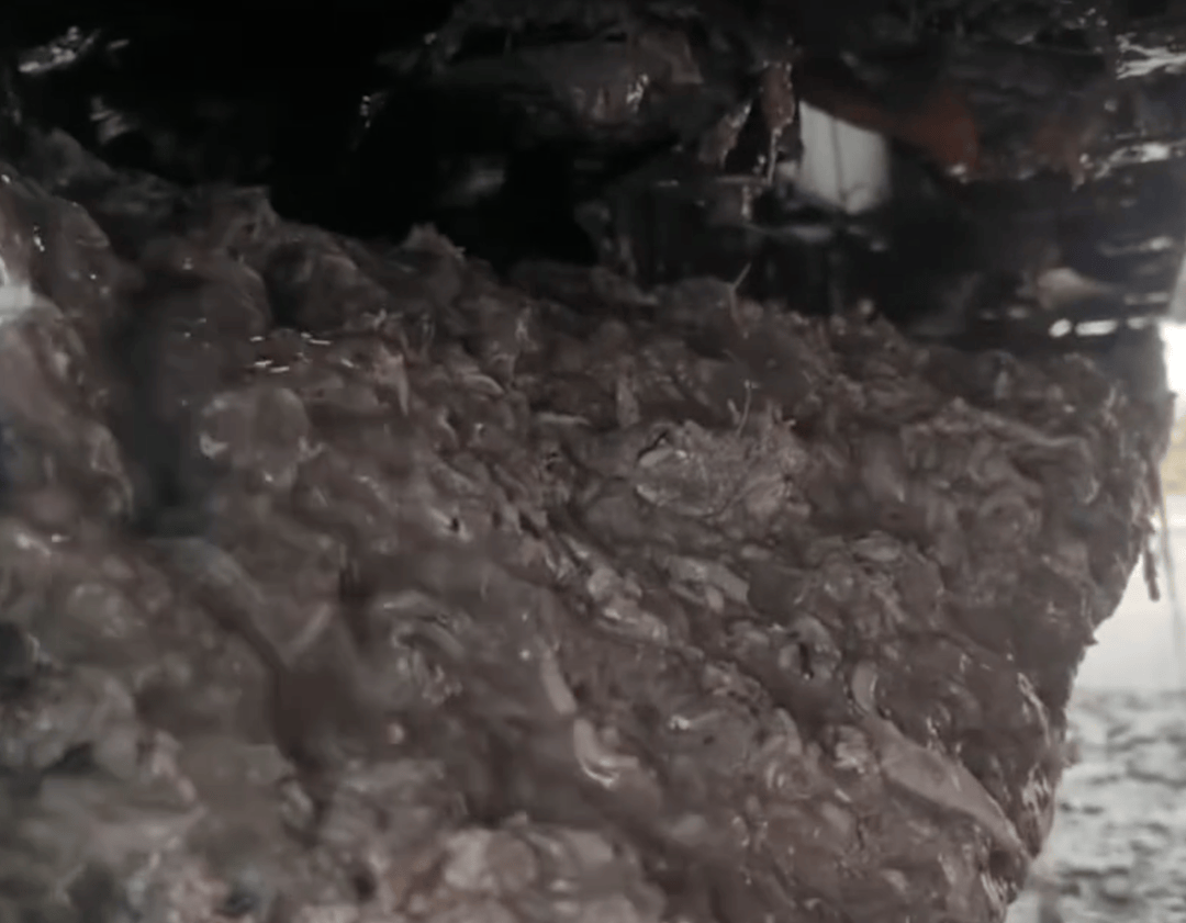 紫牛头条|40余车辆遭高速海鲜废料“臭袭”<strong></p>
<p>公司资讯</strong>,交警称“非交通事故”,车主维权陷两难